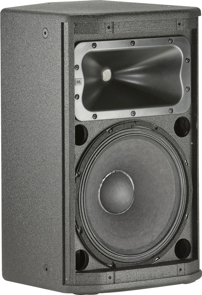 JBL 12" Passive Stage Monitor