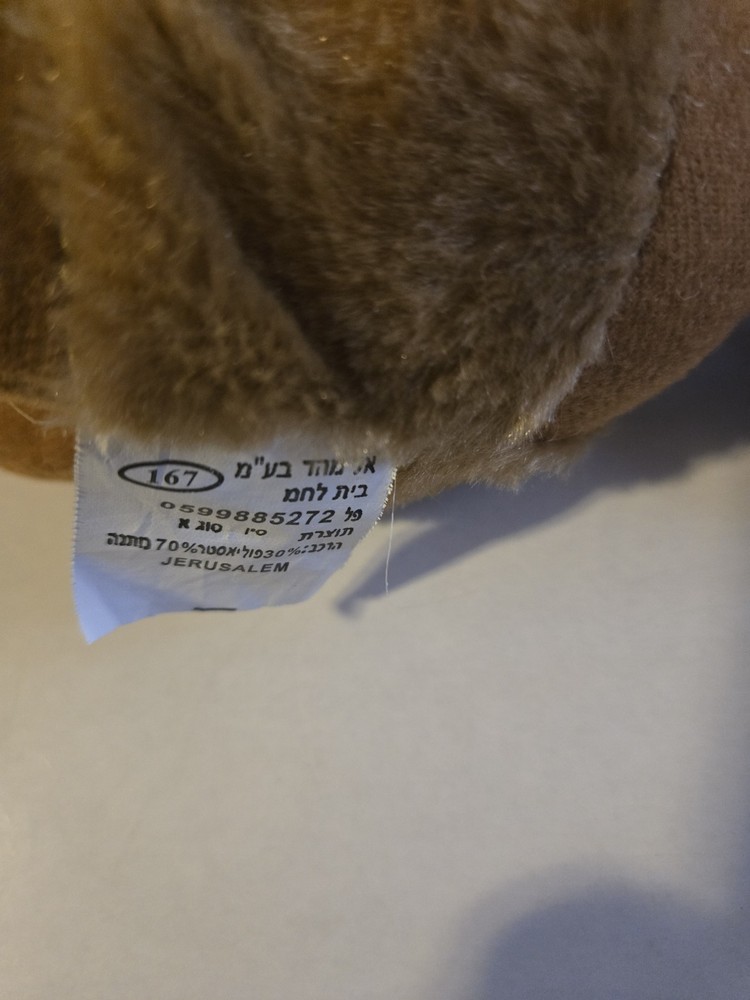 Stuffrd Camel From JERUSALEM