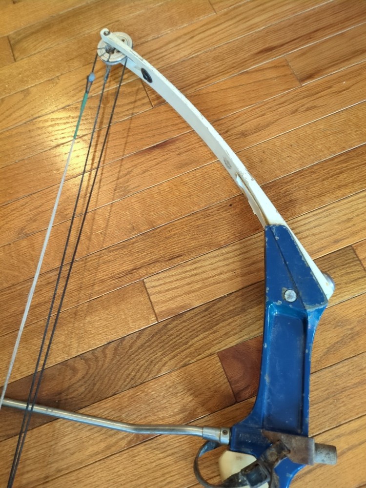 hoyt Easton contender compound bow