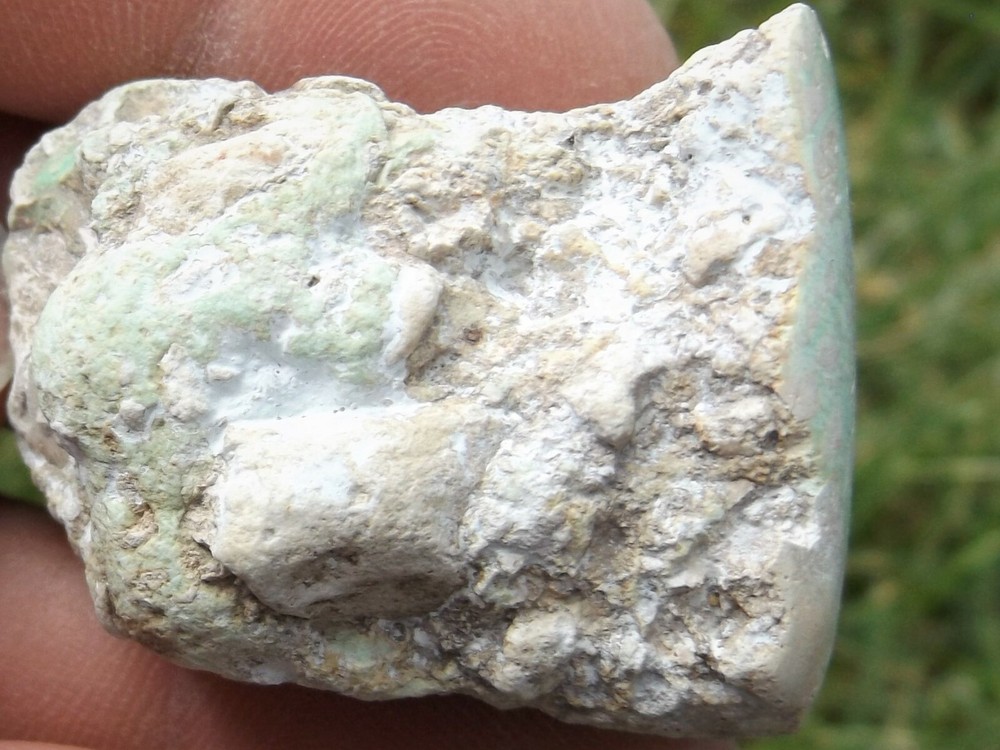 DIG-N-UTAH: VARISCITE UTAH POLISHED # L 6