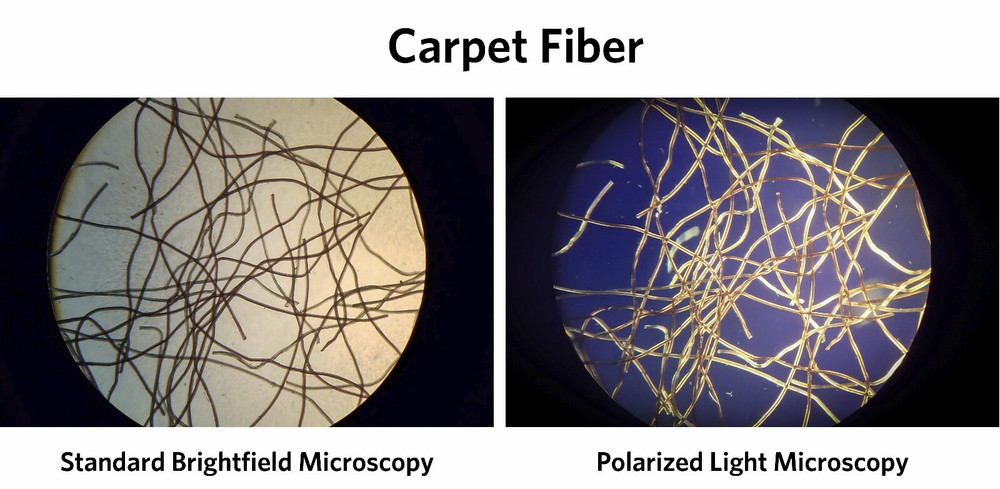 4 Sizes, Universal Microscope Linear Polarizer Filter Kit - 98% Extinction Ratio
