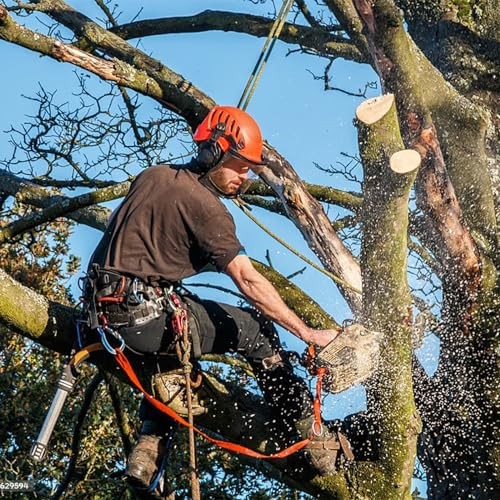 Tree Climbing Gear, Tree Climbing Spikes, Tree Climbing Gear with Adjustable