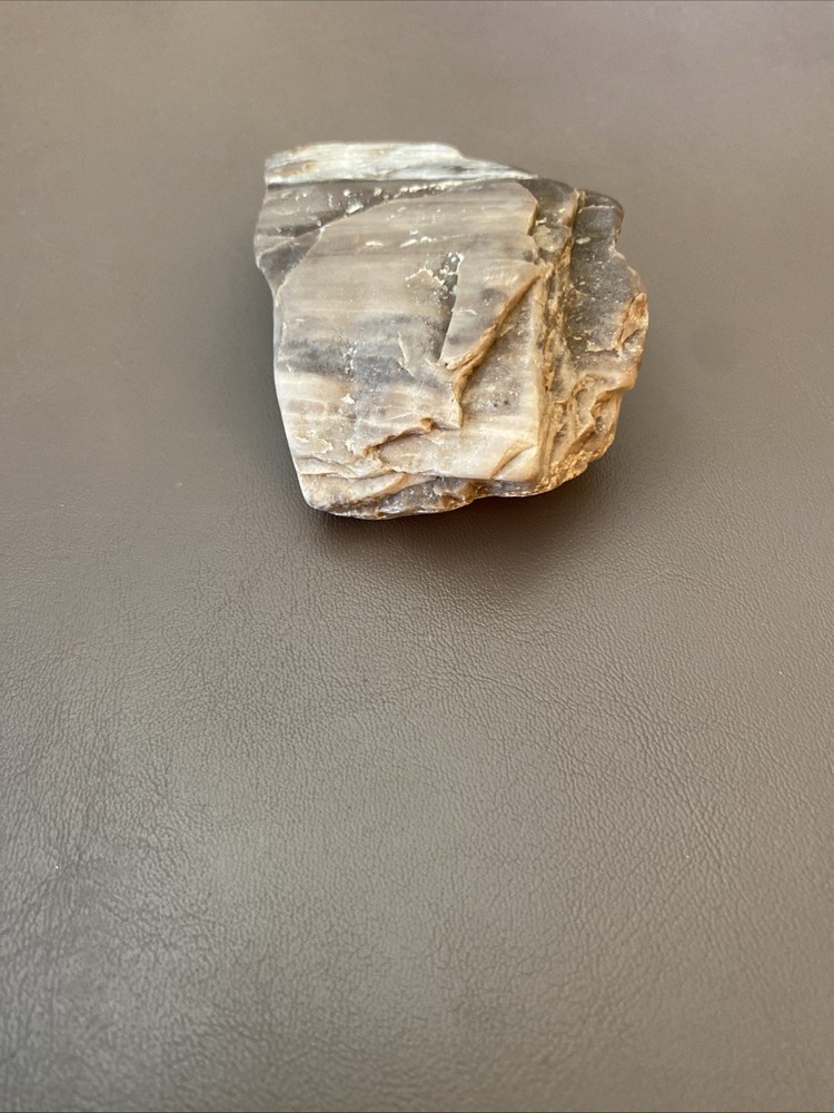 Petrified Wood