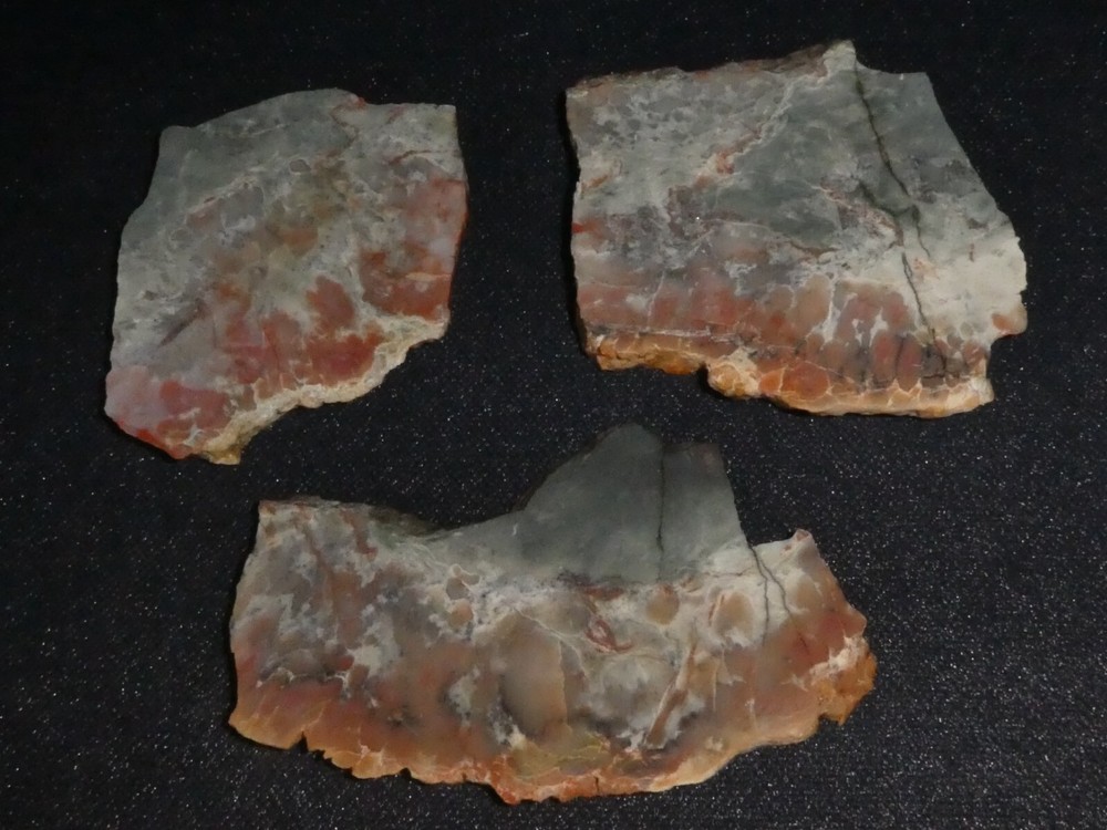 COPROLITE- 3- small slabs- Fossilized poo---rough -cabbing-display