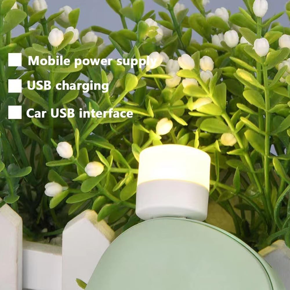 10 PCS Small USB Mini LED Night Light Plug-in Bulb | Warm White Soft Light |
