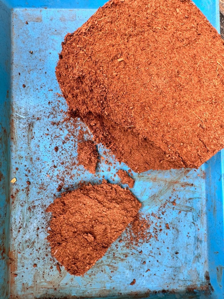 RootEarth Coco Peat Block 2.2lb Expands 10lb Low EC Washed Coir Growing Medium