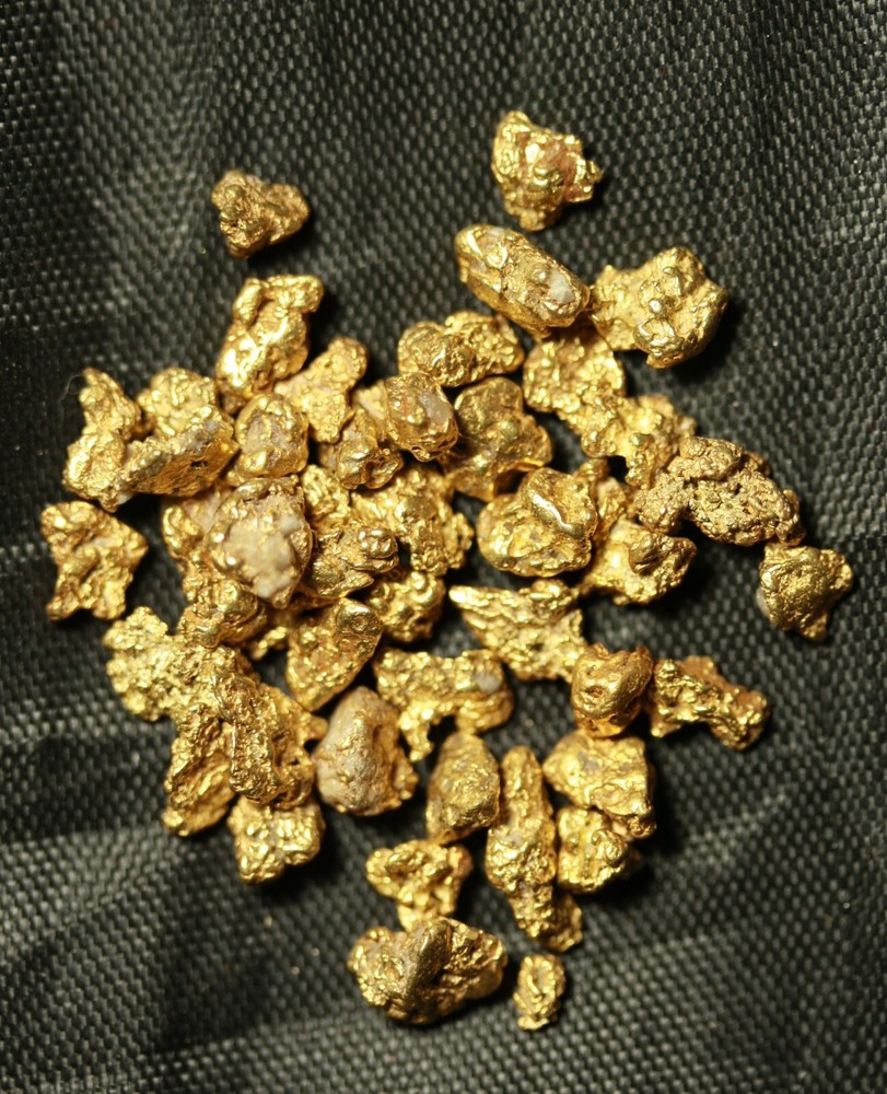 GOLD NUGGET .29 Grams. AGW