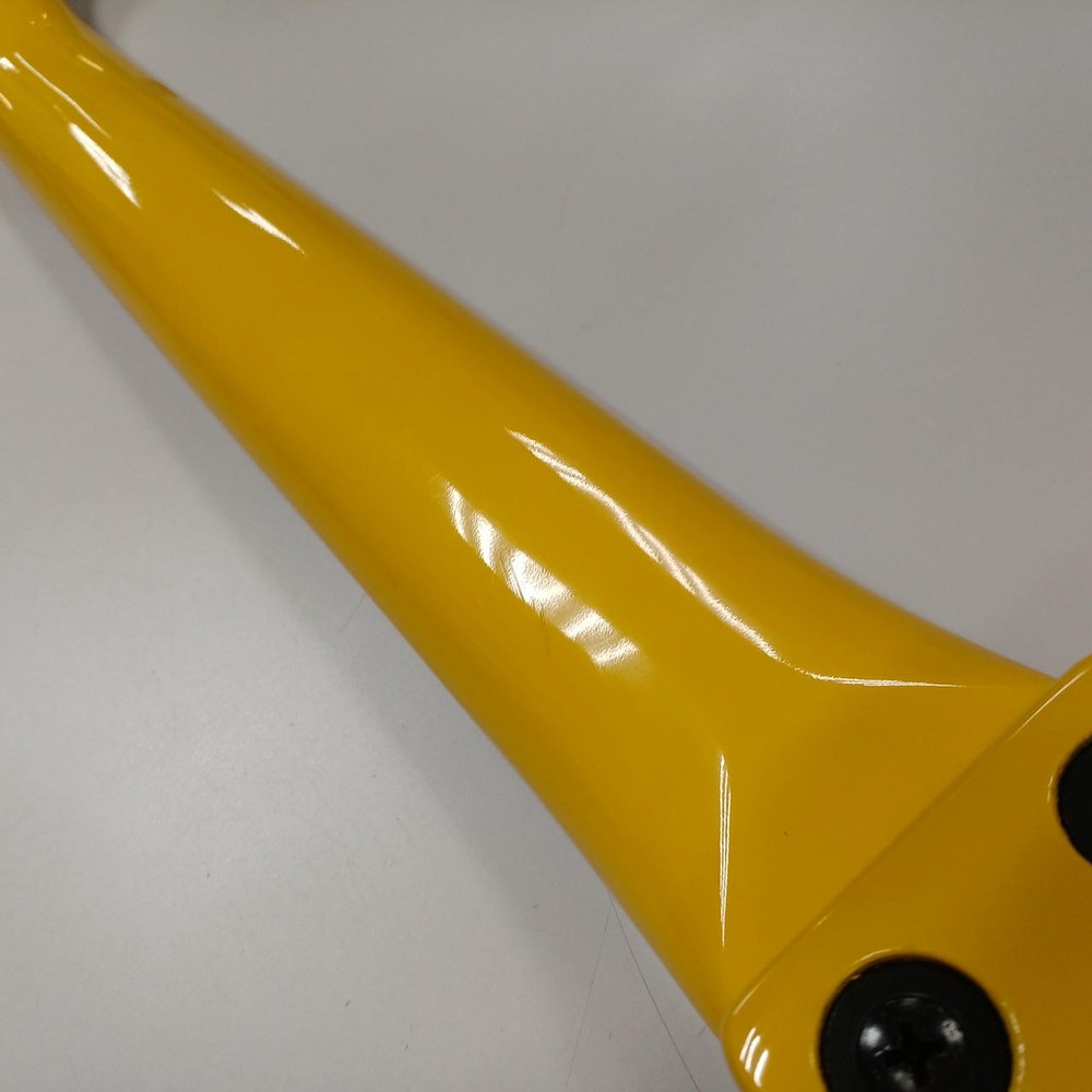 BURNY YH-JR Electric Guitar-04