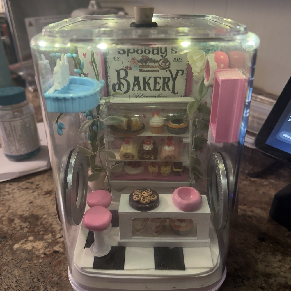 Jumping Spider Enclosure Bakery Themed Handmade