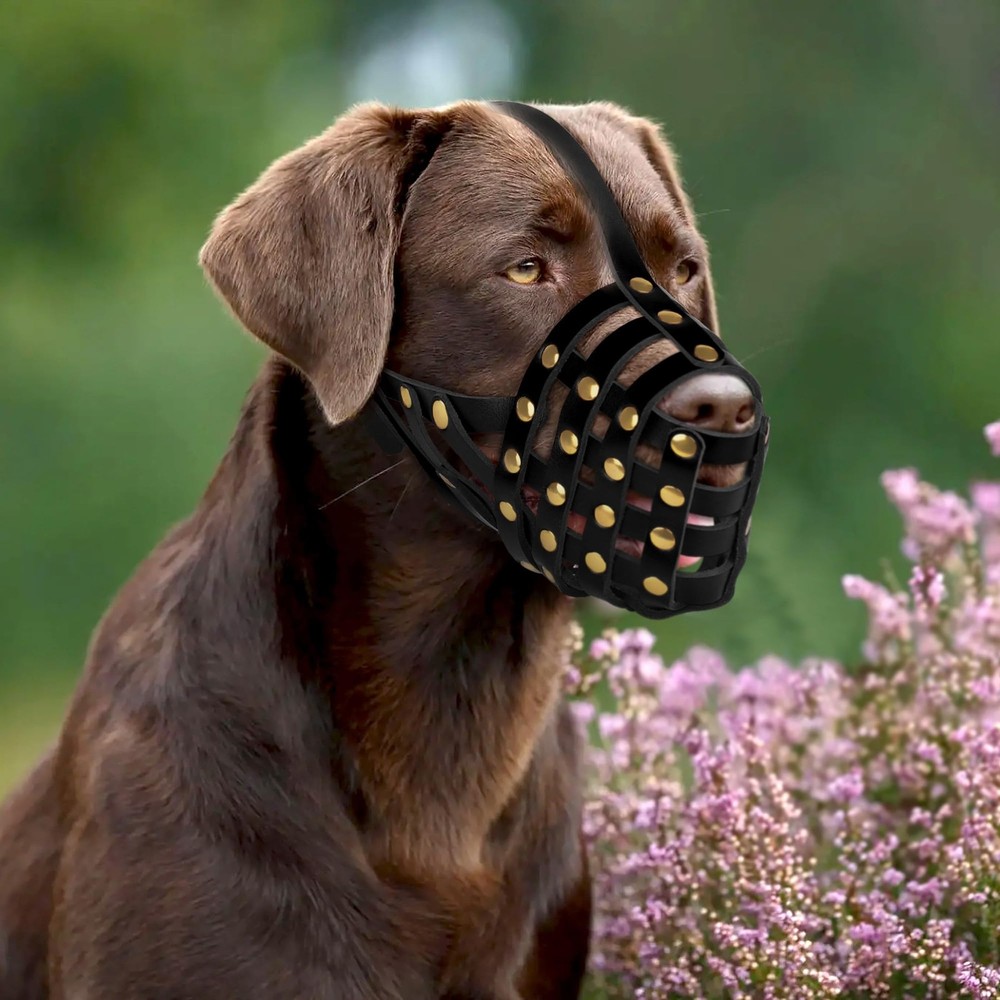 Labrador Dog Muzzle for Large Dogs - Leather Breathable Secure Basket Muzzle ...
