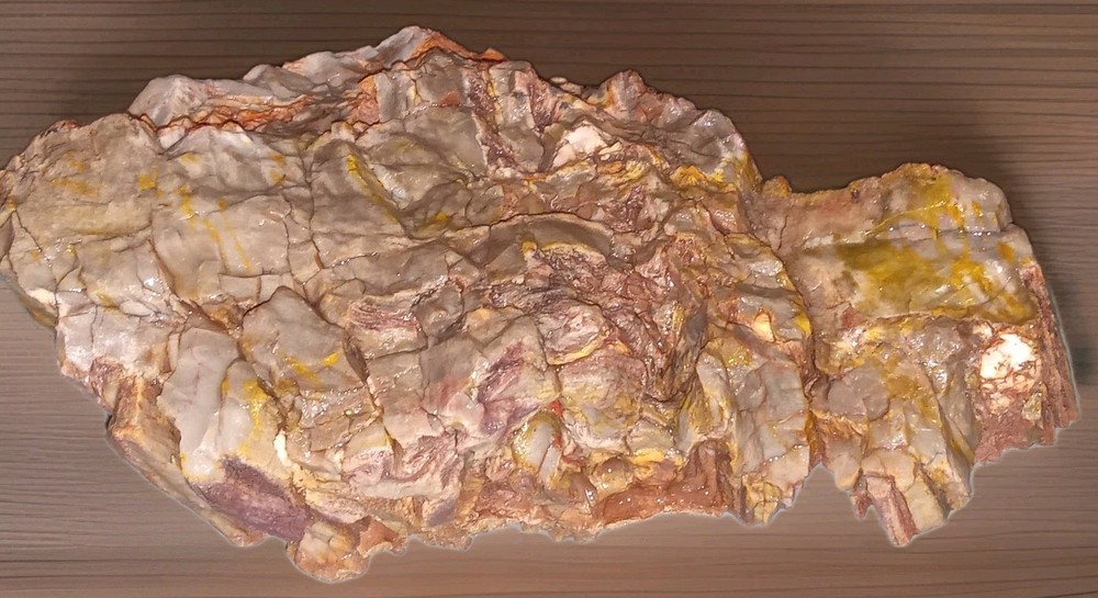 Petrified Rainbow Wood Rough AZ 2 lbs+