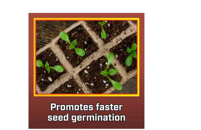 Vigoro 8 Qt. Organic Vermiculite Soil Amendment