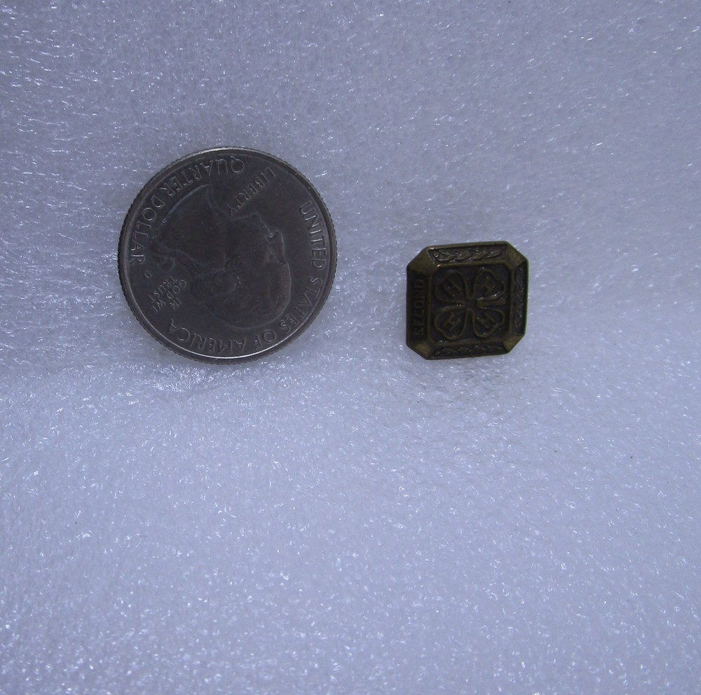 4H Second Year Pin