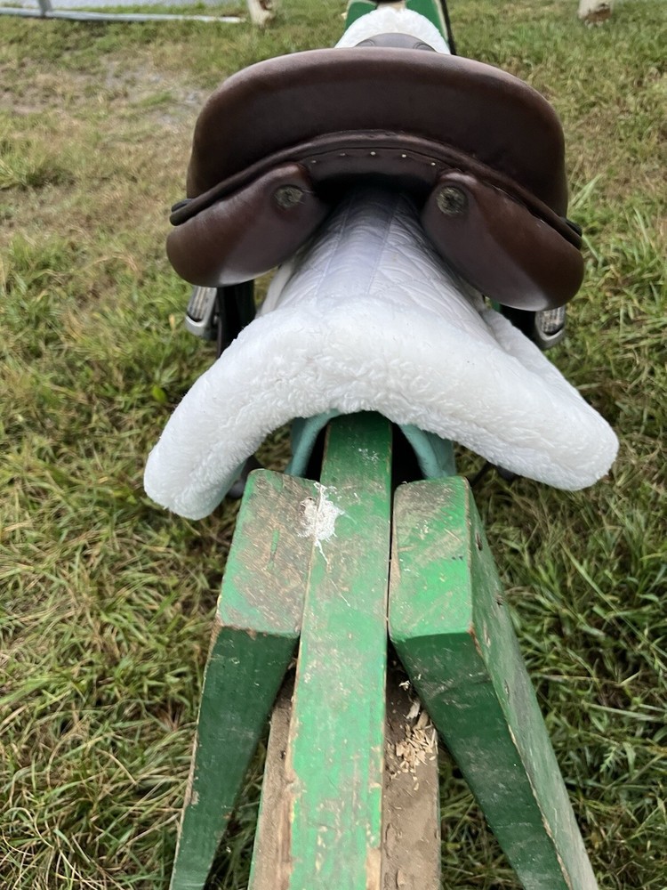 Circuit Premier EQ 16.5 Saddle