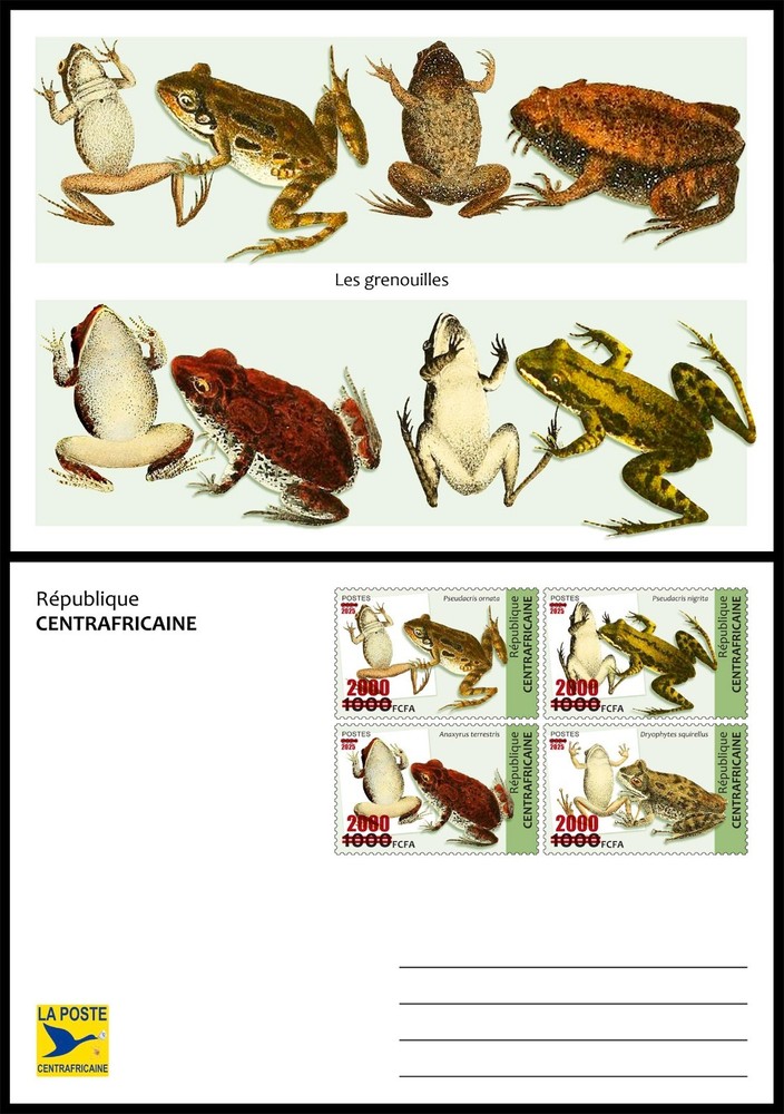CENTRAL AFRICAN 2025 STATIONERY CARD - Ovpt. on 2024 - FROGS FROG - MNH