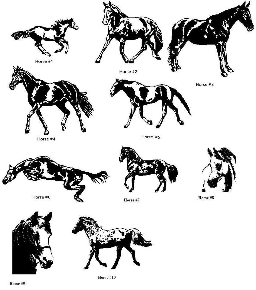 Horse Stall Personalized Name Plates Oak..