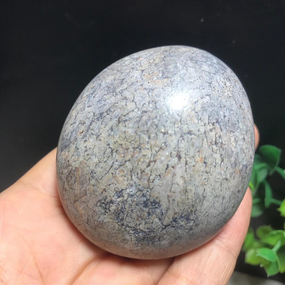 148g polished dinosaur bone specimen Madagascar 10
