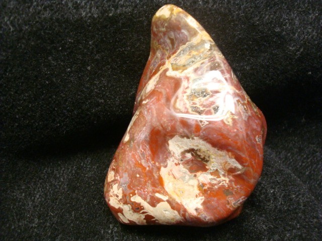 petrified wood madagascar polished