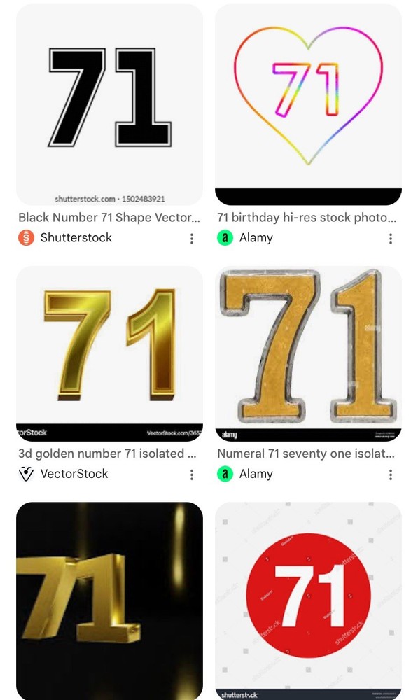 NWT StahlSac mesh Net Bag Large Yellow