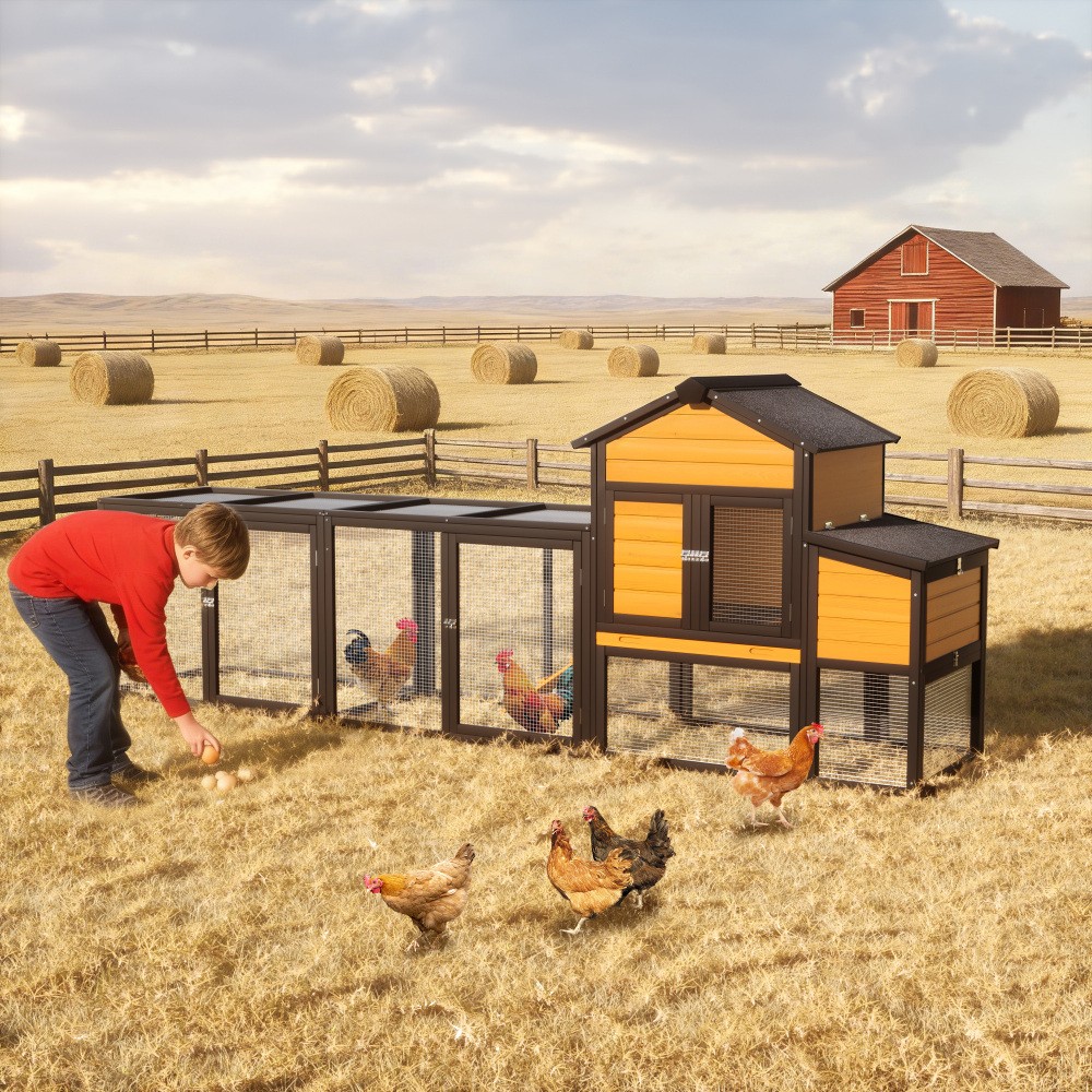 Chicken Coop w/ Run for 2-4 Chickens, 7 Doors, Pull-Out Tray, Nesting Box & Ramp