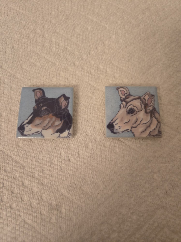 Pair Of Smooth Collie Magnets
