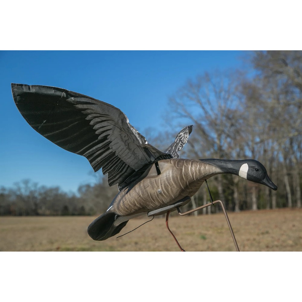 Higdon Clone Canada Goose Decoy