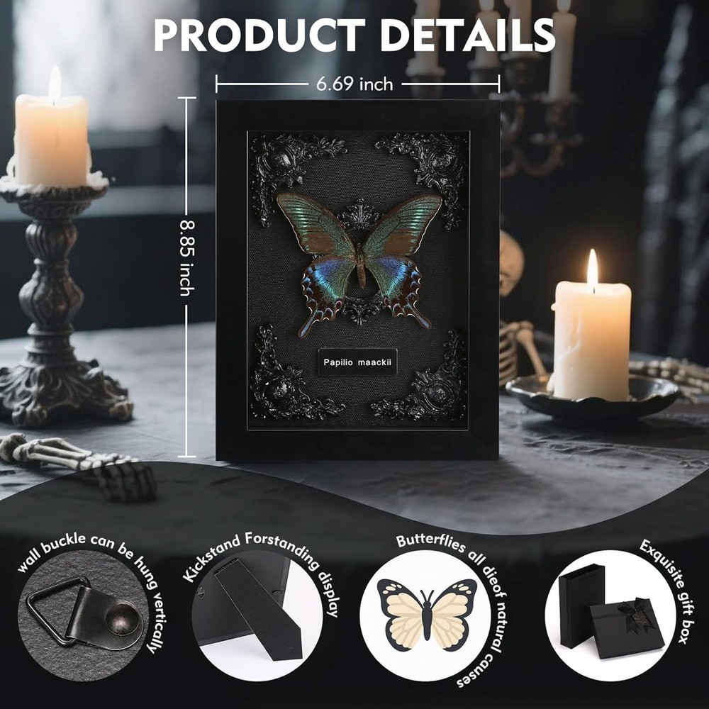 Black Swallowtail Butterfly Shadow Box - Display for Nature Lovers