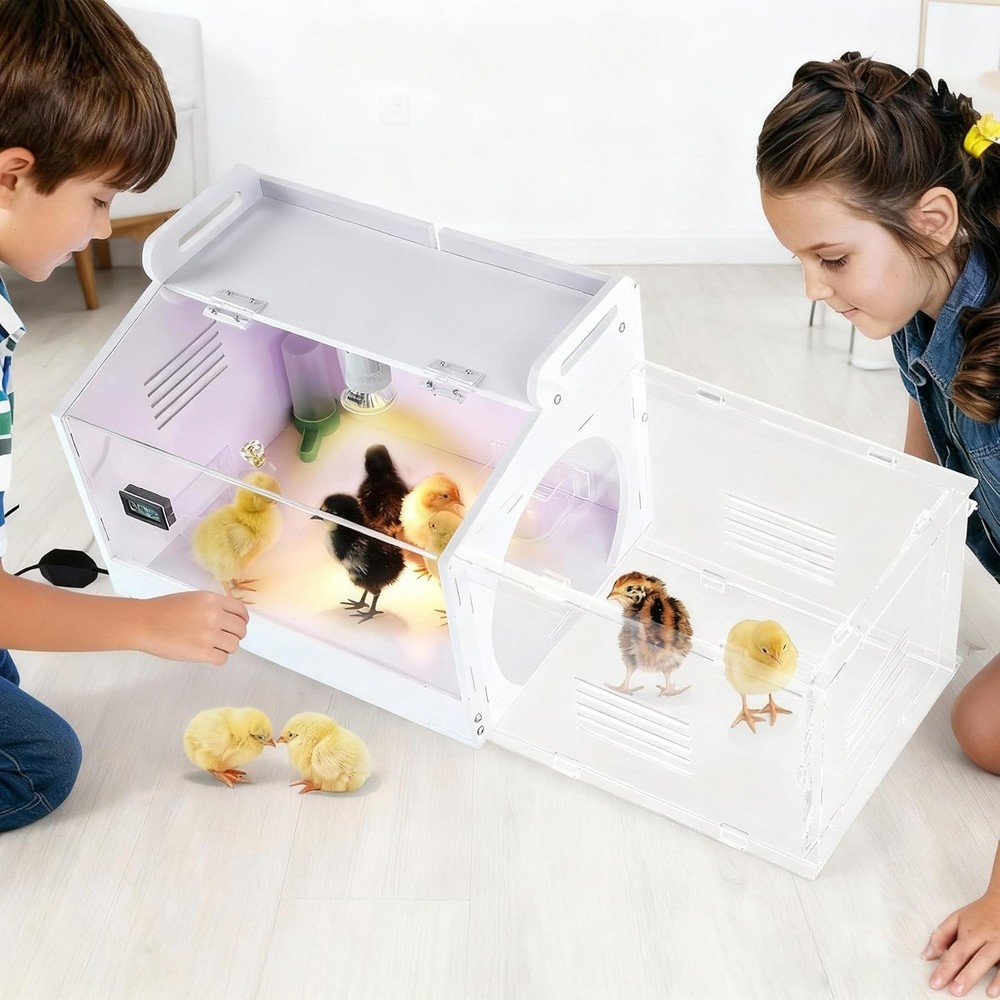 Iarge-Scale Chick brooder Box Quail Cage Egg Incubator Chick Starter Kit Chic...