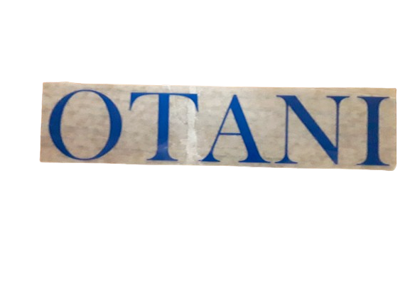 Personalized -Custom Name- Iron On Transfer For T-Shirt & Other Fabrics