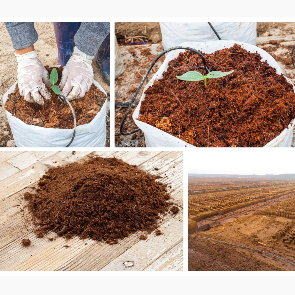 ORGANIC COMPOST HYDROPONIC GROWING MEDIA | COCO COIR COCO PEAT | 100% NATURAL
