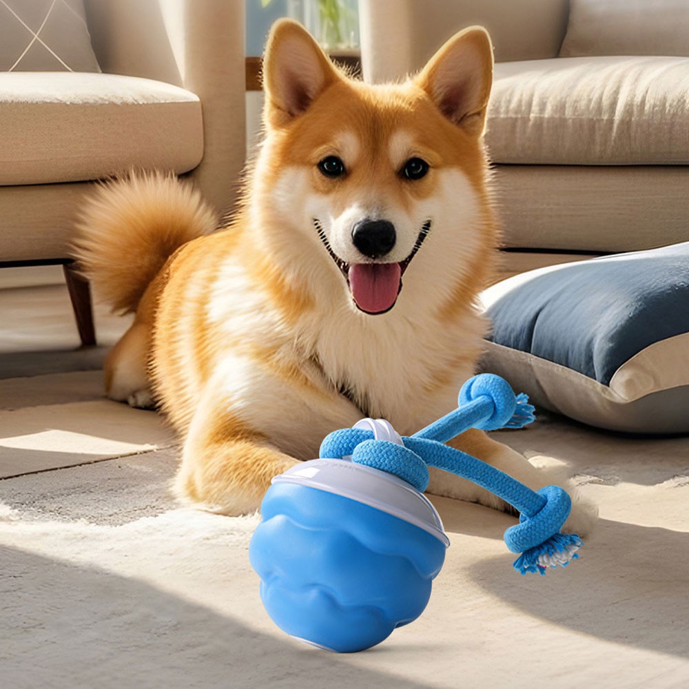 Smart Dog Toys Interactive TeasiKU Ball With Motion Activated Automatic Moving