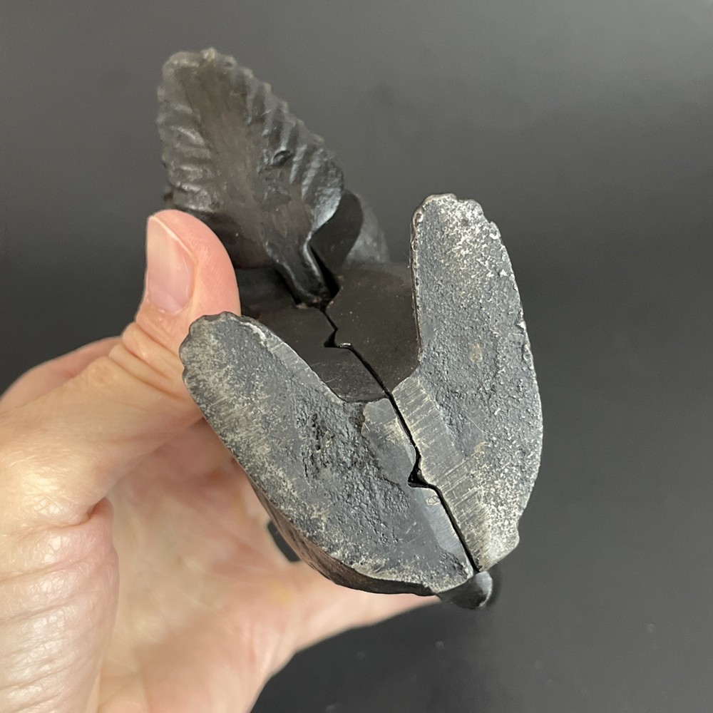 Cast Iron Squirrel Nut Cracker
