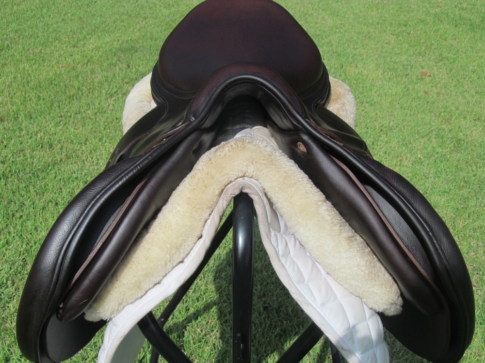 17.5" ANTARES EVOLUTION BUFFALO close contact jumping saddle ( MEDIUM TREE)-2021