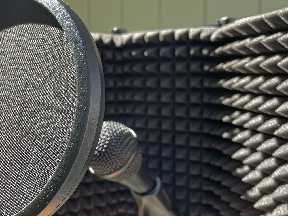 PIG HOG PHMPOP Microphone Pop Filter 5.9 inch Diameter Dual-Layer Pop Filter...