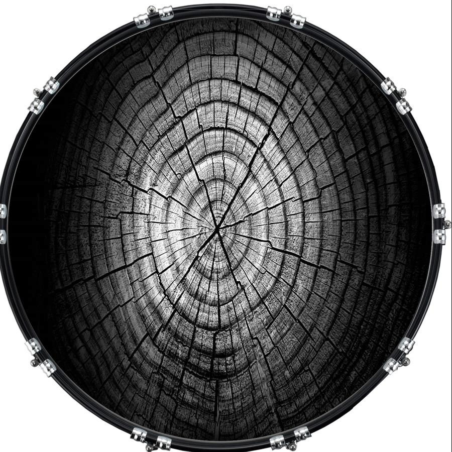 20" Custom Bass Kick Drum Front Head Graphical Dried Tree Rings