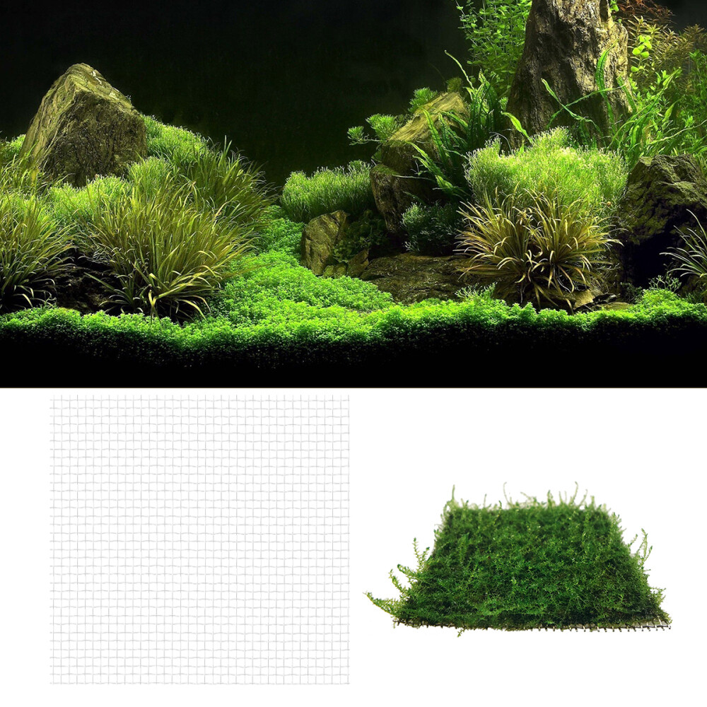 Flame Aquarium Java Christmas Aquarium