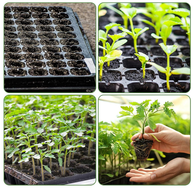 10-Pack Seed Starter Kit, 72-Cell Seedling Trays for Germination