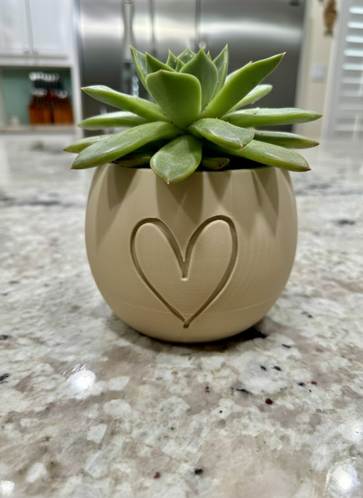 3D Printed Heart Planter