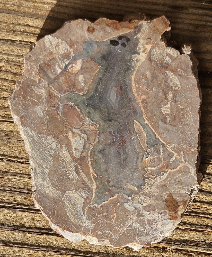 Agate Lapidary Slab 30 Grams Baker Area