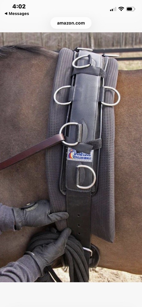 Dura-Tech Horse Training Lunging Belt Top half