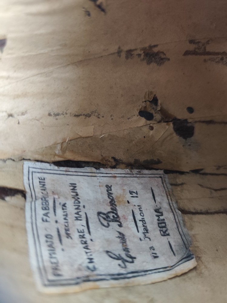 Mandolin 4/4 Ernesto Bessone 1900 Rome 曼陀林 만돌린マンドリン