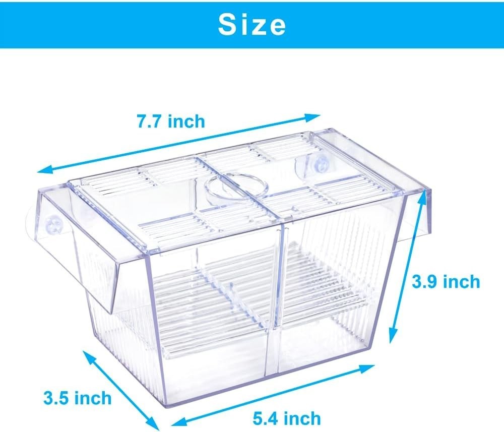Fish Breeding Box Aquarium Holding Tank Transparent Fish Isolation Box Medium