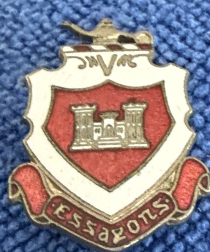 US Army Engineer Regiment Pin Dui Di Pinback Pin D11