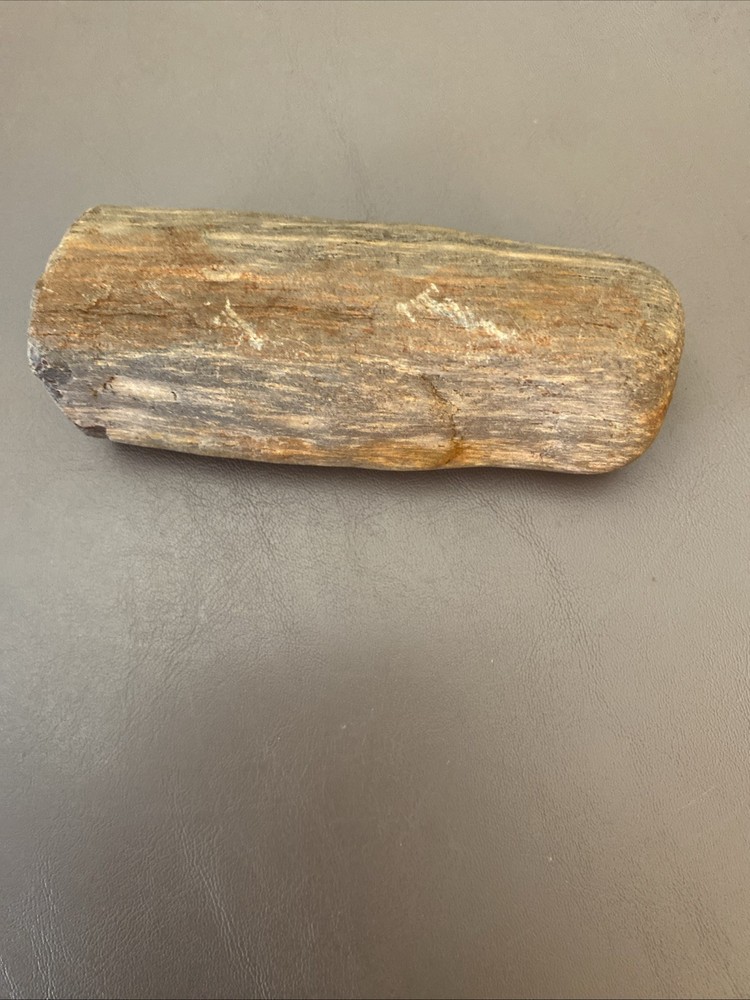 Petrified Wood