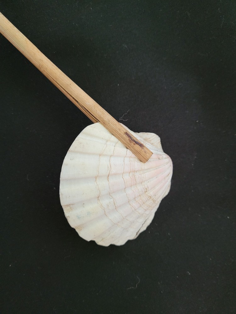 WW2 Era Japanese Shellfish Sea Shell rice scoop