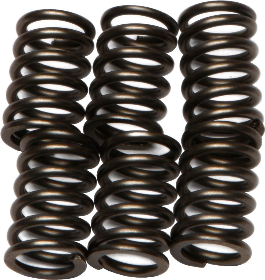 EBC Clutch Spring Set - Clutch Springs - CSK64