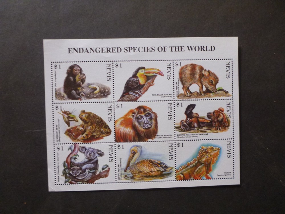 Nevis 1998 Endangered Species Mini Sheet Mint Stamps