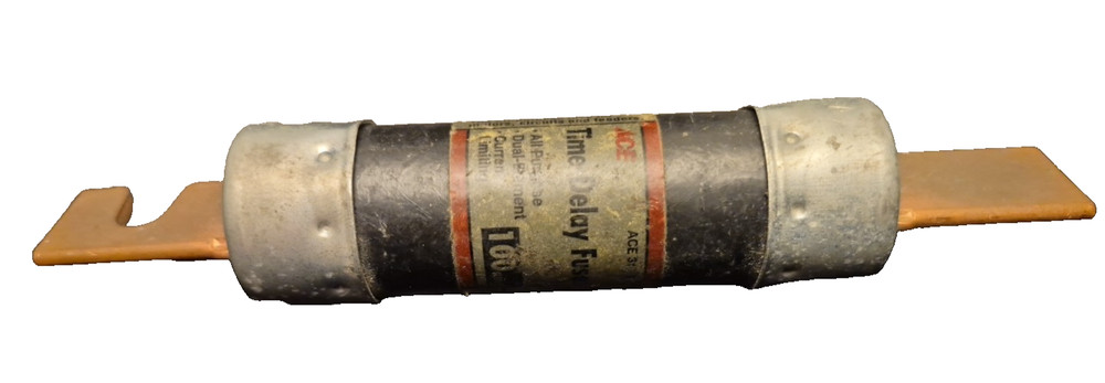 ACE 100 Amp Dual Element Time Delay Current Limiting Fuse