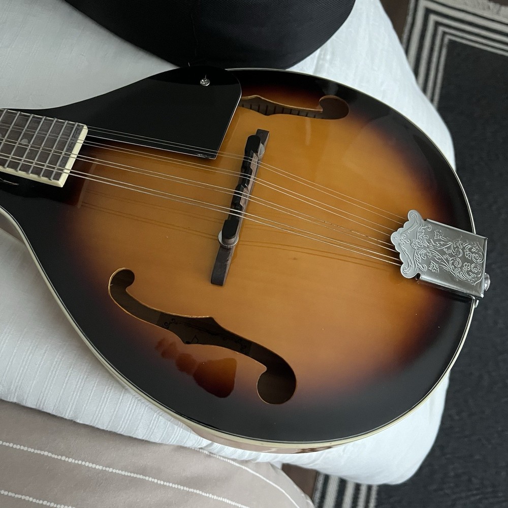 Sunburst Donner Mandolin 8 String Beginner Set with Soft Case & Pick Great Cond