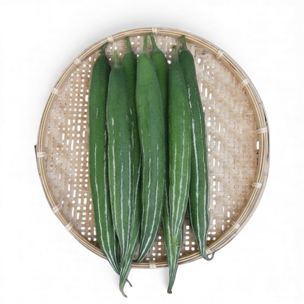 Snake Gourd seeds - Summer supper 10 Seeds